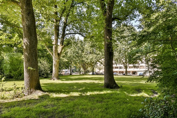Medium property photo - Sportlaan 20, 1185 TC Amstelveen
